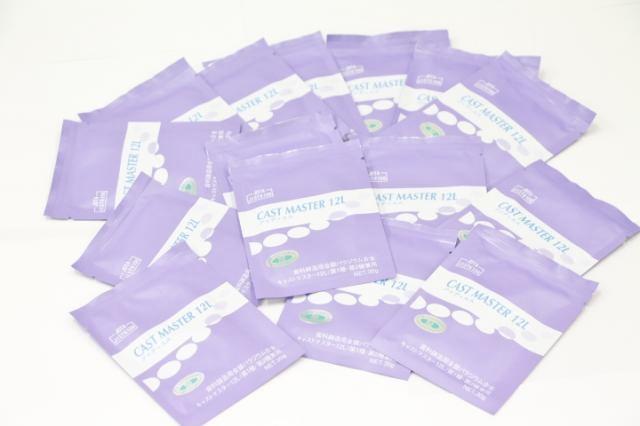 アイディエス　キャストマスター12L