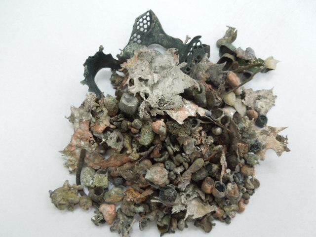 歯科金属屑・歯科スクラップ金属(撤去冠・除去冠)