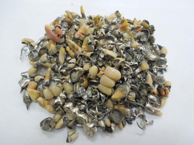 歯科金属屑・歯科スクラップ金属(撤去冠・除去冠)